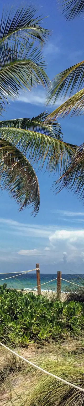 Besuche die schönen Strände von Miami Beach